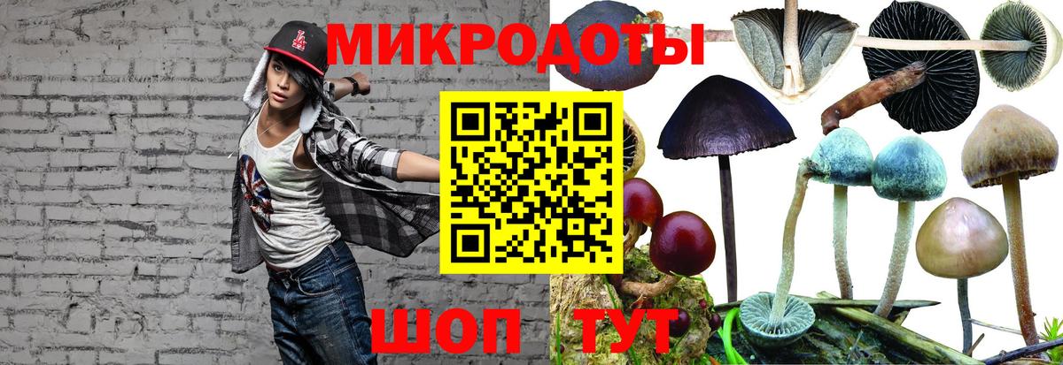 Лыткарино  Псилоцибиновые грибы прущие грибы  Вход с VPN 